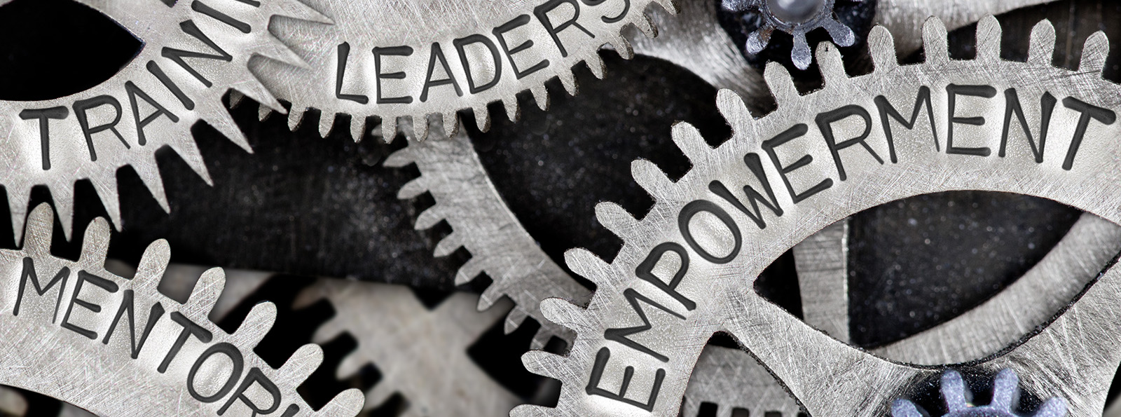 Leadership Empowerment Course Light of Hope Leadership Empowerment Course Light of Hope