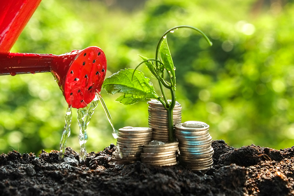 red can watering money growing from soil