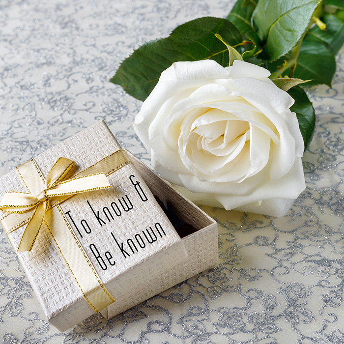 white rose next to gift box